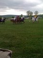 Gold Cup 003